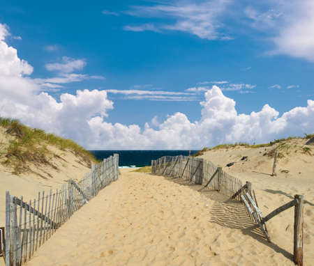 Path way to the beach at Cape Cod, Massachusetts, USA.の写真素材
