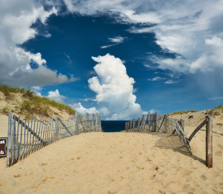 Path way to the beach at Cape Cod, Massachusetts, USA.の写真素材