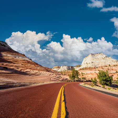 Empty scenic highway in Zion National Park, Utah, USAの写真素材