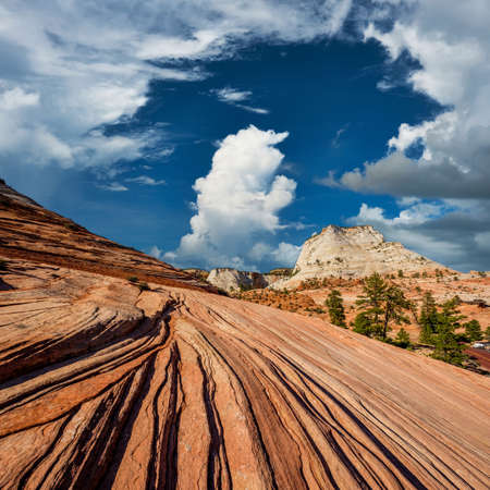 Landscape with rock formations in Zion National Park, Utah, USAの写真素材