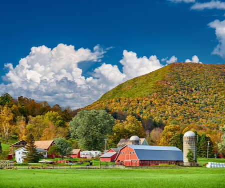 Farm with red barn and silos at sunny autumn day in West Arlington, Vermont, USAの写真素材