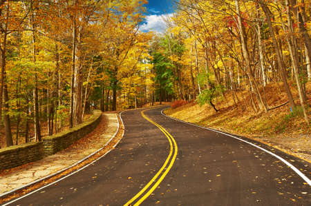 Autumn scene with road in forest at Letchworth State Parkの写真素材