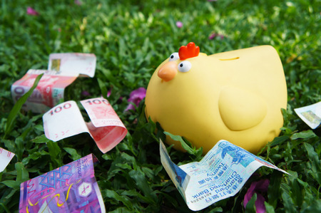 Money box and banknotes on green lawnsの写真素材