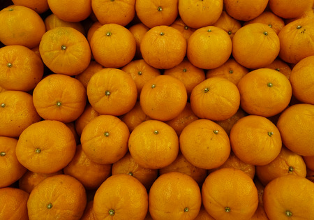 Top view of fresh tasty oranges