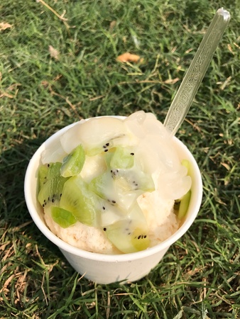 ice cream with kiwi on topping.の素材