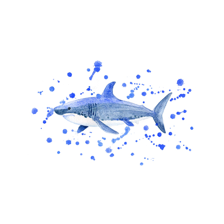 Shark watercolor raster. Animals underwater world raster.の写真素材
