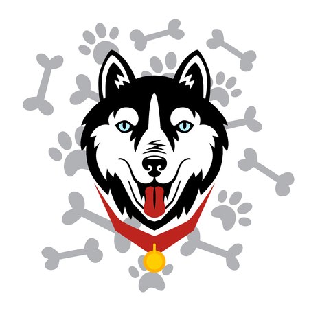 Husky head dog, bone, paw vector design.のイラスト素材
