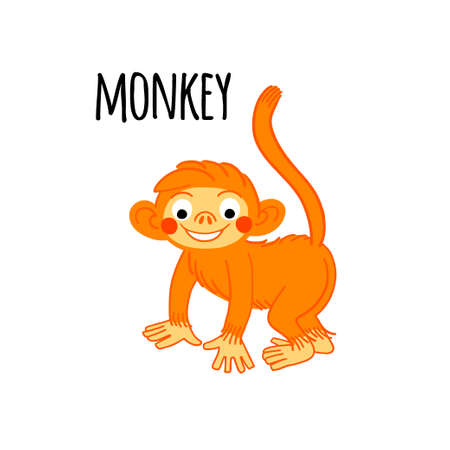Monkey clipart. African animal vector illustration isolated on white backgroundのイラスト素材