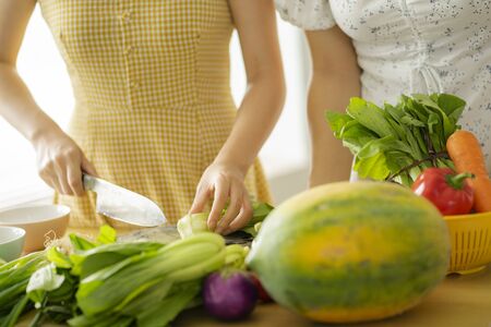 2 girls cookingの写真素材