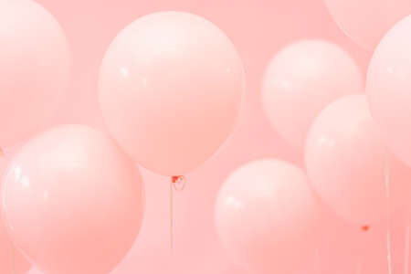 Pink balloons on a pink backgroundの写真素材