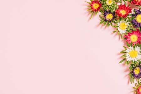 Colorful flowers arranged on a pink background