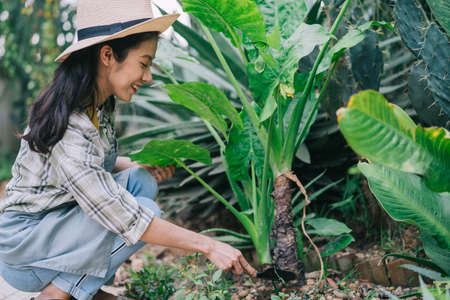Young Asian woman drinking tea in the gardenの写真素材