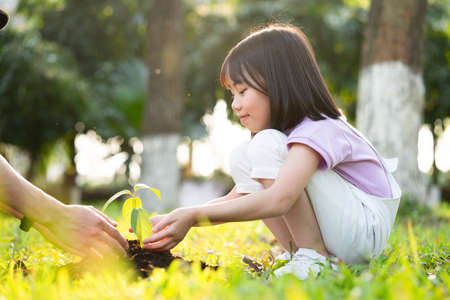 Image of Asian little girl puts used plastic bottles in the trashの写真素材