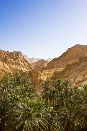 Mountain oasis in mountains against the blue skyの写真素材
