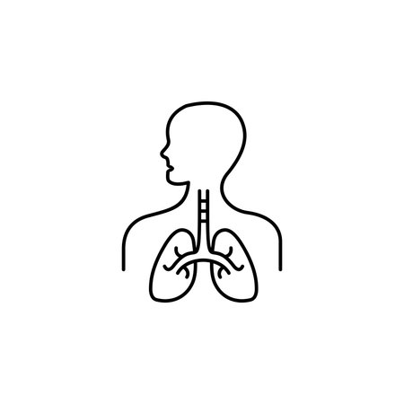 simple lung icon illustration with outlined style, human lungs symbol vectorのイラスト素材