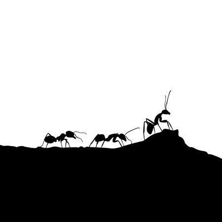 ant colony silhouette illustrationのイラスト素材
