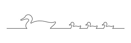 line illustration of a mother duck with her chicks swimming, editable strokeのイラスト素材