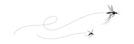 flying mosquitoes and their flight pathsのイラスト素材