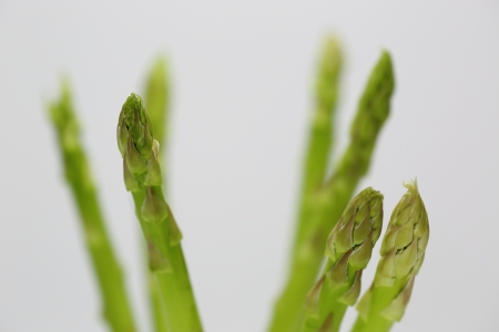 Asparagusの写真素材