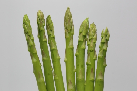 Asparagusの写真素材