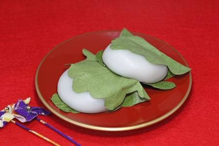 Japanese sweetsの写真素材