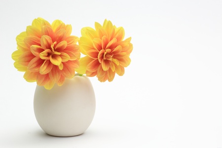 Dahlia in a egg-shaped vaseの写真素材