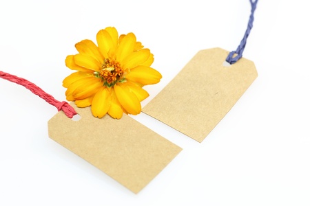 Blank tag and flowerの写真素材