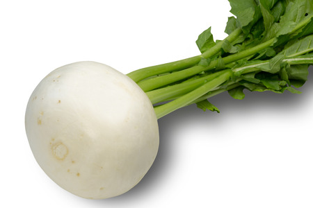  Turnip