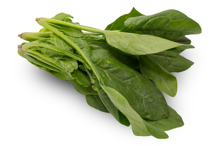 Spinach in a white backgroundの写真素材