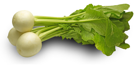 Turnipの写真素材