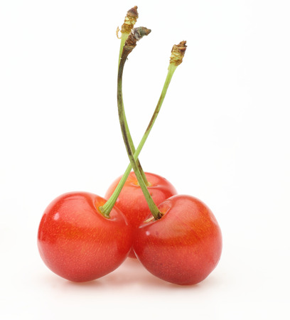 Cherries in a white backgroundの写真素材