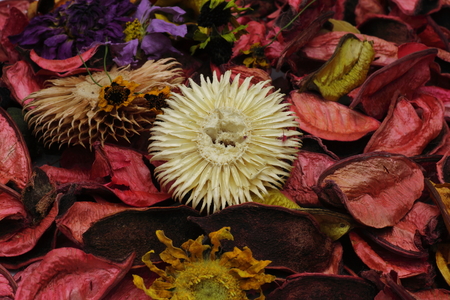 Potpourriの写真素材