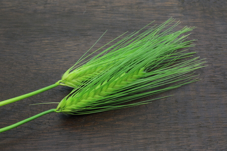 Greeen wheat on the wooden boardの写真素材