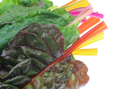 Swiss chard in a white backgroundの写真素材