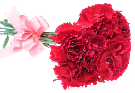 Bouquet of carnationの写真素材