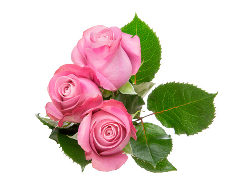 Bouquet of roses with leavesの写真素材