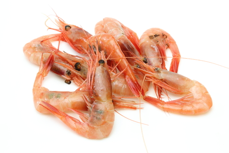 甘エビ の写真素材 イメージマート