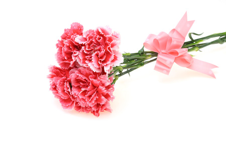 Bouquet of carnation with a ribbonの写真素材