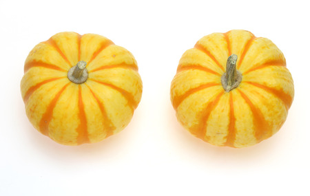 Pumpkinsの写真素材