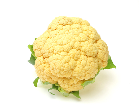 Cauliflower in a white backgroundの写真素材