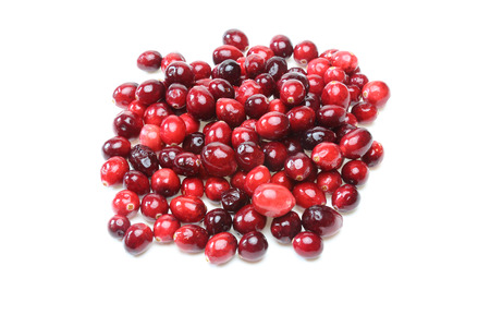 Cranberryの写真素材
