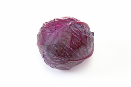 Purple cabbageの写真素材