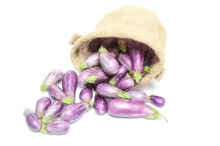 Eggplant in a jute bagの写真素材