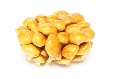 Butterscotch mushroom in a white backgroundの写真素材