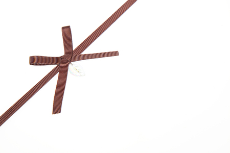 Ribbon in a white backgroundの写真素材