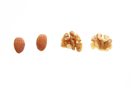 walnut and almond in a white backgroundの写真素材