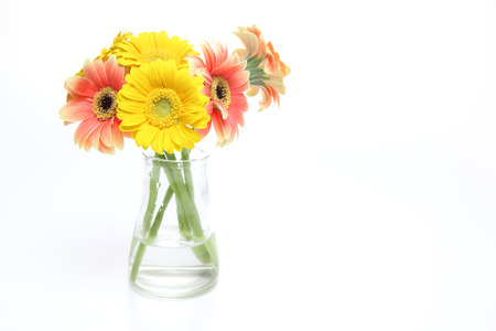 bouquet of Transvaal daisy in a glass vaseの写真素材