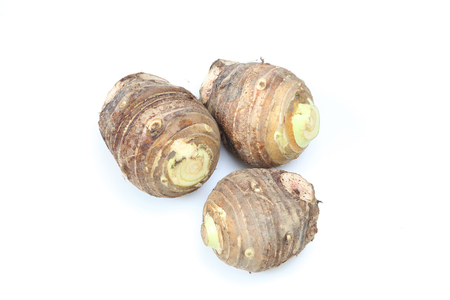 taros in a white backgroundの写真素材