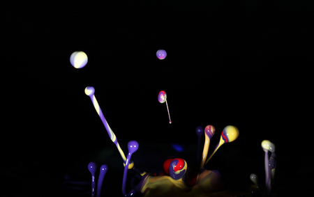 color paint in scatteringの写真素材