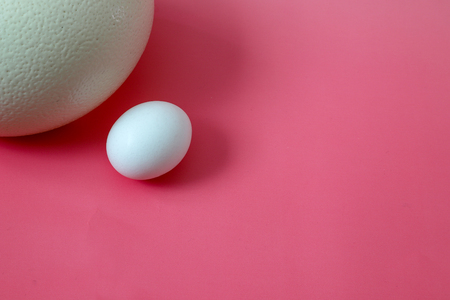 ostrich and chicken eggs in a red backgroundの写真素材